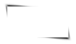 bird - PNG - Black Owl - Pic 2