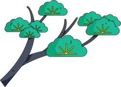 Tree Canopy - branch - High Resolution PNG