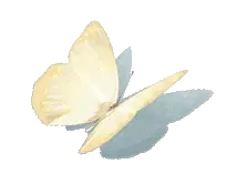 Yellow Butterfly - nature - High Resolution PNG