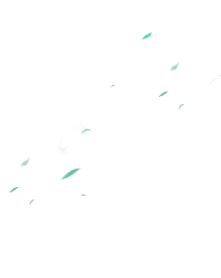 Green Leaves - nature - peaceful - PNG Images