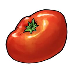 Tomato - healthy - fresh - PNG