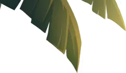 Leaf - sunlight - Free PNG