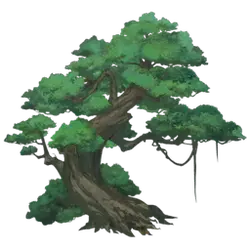 Ancient Tree - No Background PNG