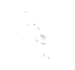 Leaves Falling - art - Free PNG