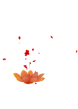 Lotus Lantern - Free PNG