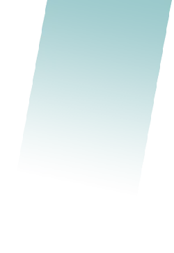 Dark Green Gradient Background - simple - No Background PNG