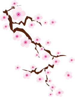 Cherry Blossom Branch - nature - Transparent Layer PNG