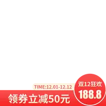 Double 12 Carnival - promotion - High Resolution PNG