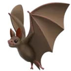 Bat - mammal - nocturnal - High Resolution PNG