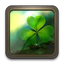 Four Leaf Clover - nature - No Watermark PNG