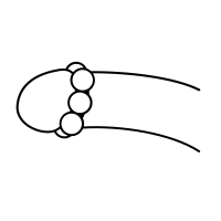Black Cat - nocturnal - Free PNG - Pic 1