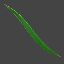 Leaf Vein - Curated PNG