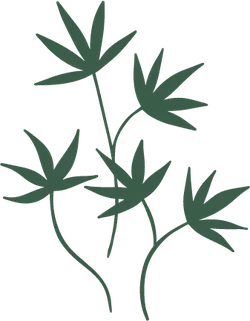 Cannabis leaf - Free for Commercial Use PNG