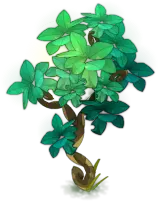 Green Plant - leaves - Highly Rated PNG