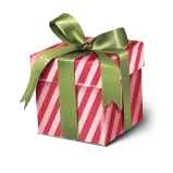 Gift Box - stripes - package - PNG