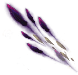 Feathers - purple - glowing - High Resolution PNG