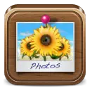 Sunflower Photos - nature - High Resolution PNG