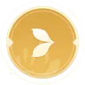 Clover - plant - healthy - PNG
