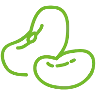 Beans - green - Free Download PNG