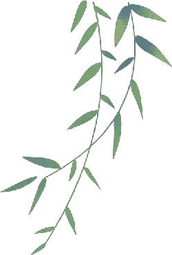 Bamboo - branch - High Resolution PNG