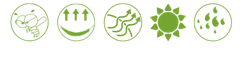Bee - nature - High Resolution PNG