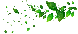Leaves Falling - falling - nature - Free Download PNG