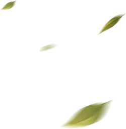 Falling Leaves - autumn - Free for Commercial Use PNG