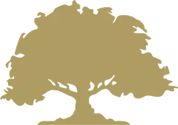 Golden Tree Silhouette - silhouette - No Watermark PNG