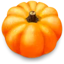 Pumpkin - fruit - PNG Images