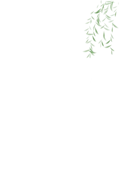 Green Leaves - nature - High Resolution PNG