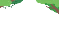 Forest Background - night - PNG Images