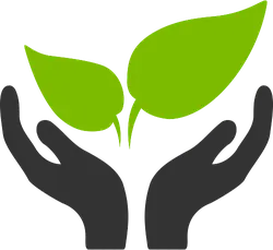 Hands Holding Green Leaves - environmental protection - No Watermark PNG