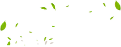 Leaves Falling - falling - Transparent Layer PNG