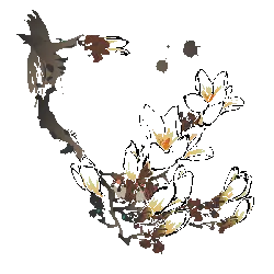 Owl Family - night - High Resolution PNG