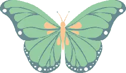 Butterfly - green - wings - Transparent Layer PNG