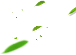 Green Leaves - decoration - green - PNG Images