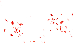 Red Petals Falling - Recommended PNG