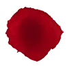 Rose - No Background PNG - Popular Download PNG