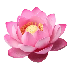 Pink Lotus Flower - High Quality PNG