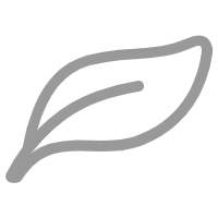 Leaf - environmental protection - High Download Count PNG