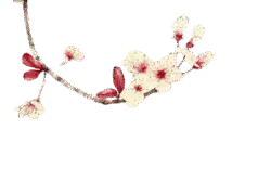 Cherry Blossom Branch - flower - Highly Rated PNG
