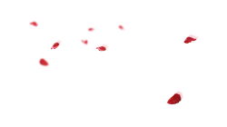 Red Petals - red - High Resolution PNG