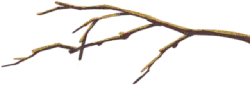 Branch - yellow - No Background PNG