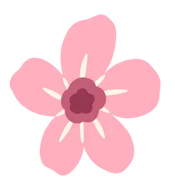Pink Flower - simple design - No Background PNG