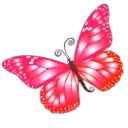 Pink Butterfly - nature - Curated PNG