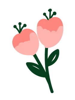 Two Flowers - Recommended PNG