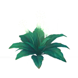 Three-flowered Plant - leaves - Free PNG