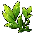 Green Leaves Branch - plant - Free PNG