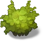 Clover - nature - PNG Images