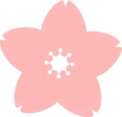 Cherry Blossom - beautiful - Transparent Background PNG - Pic 4